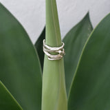 Edera Anillo  Mate