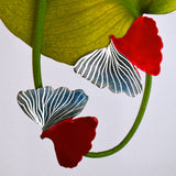Clips Garden Ginco Rojo Negro