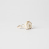 Anillo Mare More Amonita