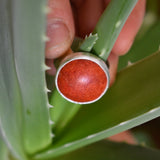 Anillo Mare More Luna Coral