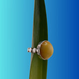Anillo Mare More Arlekin