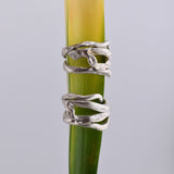 Edera Anillo  Mate