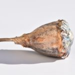 Naszyjnik - Poppy Head - srebro oksydowane